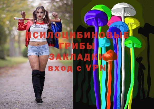 a pvp Арсеньев