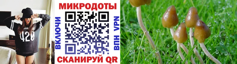 Галлюциногенные грибы Magic Shrooms  blacksprut сайт  Усмань 